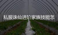 私服诛仙进阶家族技能怎么升