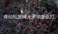 诛仙私发网大天华怎么打架
