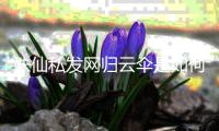 诛仙私发网归云伞是如何收起来的